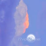 Avatar of Saira Mirza